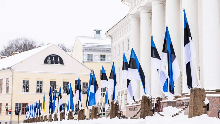 Eesti lippude rivi
